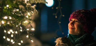 País das maravilhas do inverno de Genebra: um passeio festivo de Natal