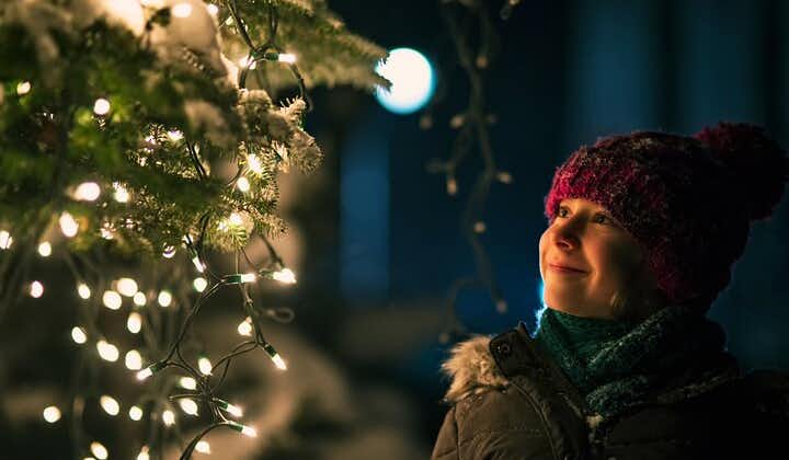 제네바의 겨울 원더랜드: 축제적인 크리스마스 투어