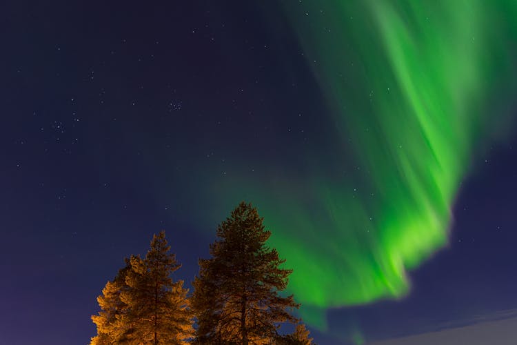 Photo of Aurora over trees in Kuusamo.