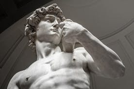 Hoppa över kön: Rundtur på Uffizierna och Galleria dell'Accademia i Florens