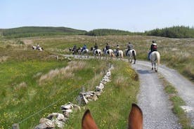 Horse riding - Mountain Trail. Lisdoonvarna, Co Clare. Guided. 2 hours.