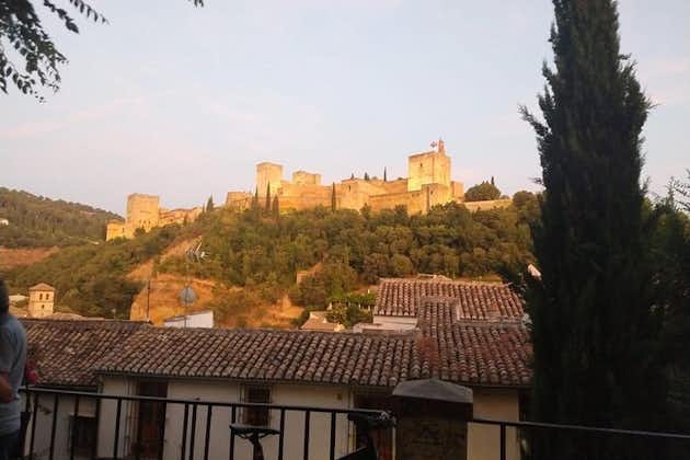 Guidet besøk i Alhambra (ingen inngang)