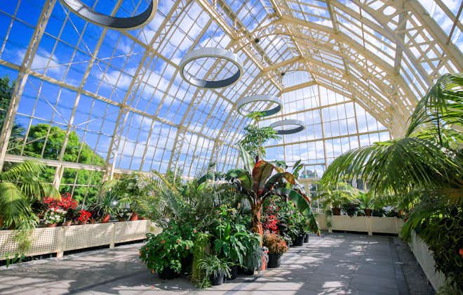Photo of Wide Angle View of the interior of a glasshouse of The National Botanic Gardens in Dublin, Ireland in a sunny day with blue sky.