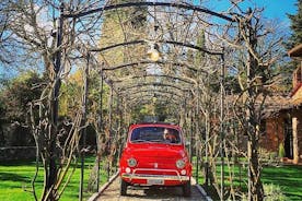 Private Vintage Fiat 500 tour in Tuscany