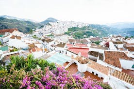Skip the line Nerja & Frijiliana Day Trip from Granada in a small group 
