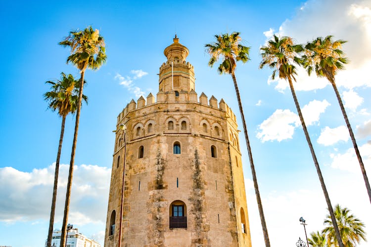 Photo of Torre del oro, historical limestone tower of gold under blue sky and palm tree in Seville, Spain.