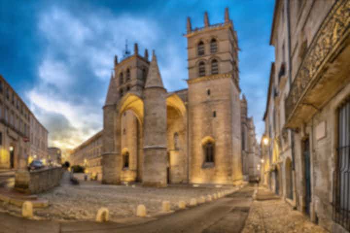 Flights from Lyon, France to Montpellier, France