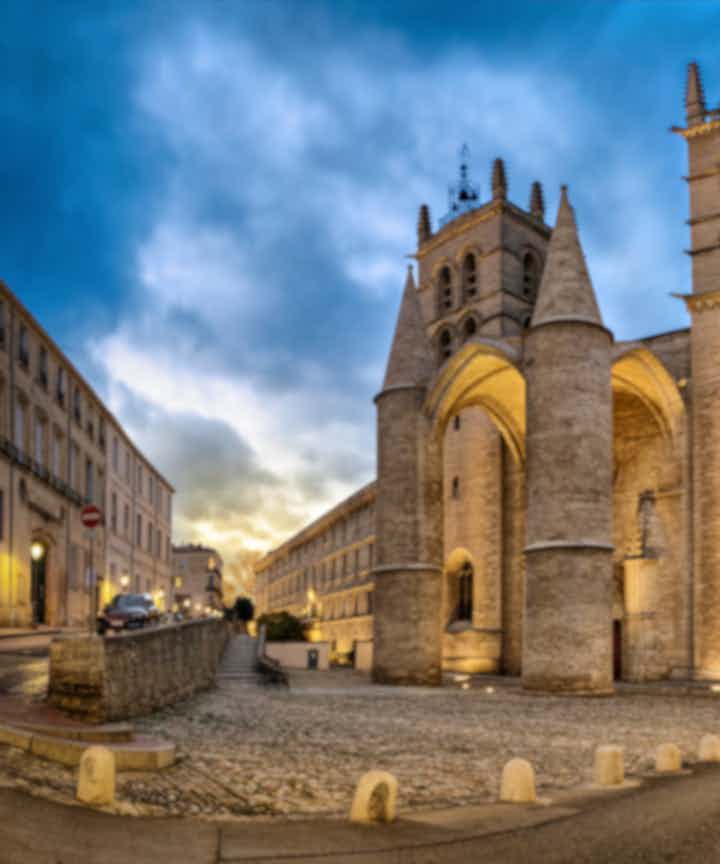Flights from Nantes, France to Montpellier, France