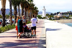  Hoogtepunten van Malaga per elektrische auto met ophalen in de haven