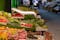 photo of View of a fruits and vegetables stand at the outdoor market Kapani in Thessaloniki Greece,Thessaloniki Greece.