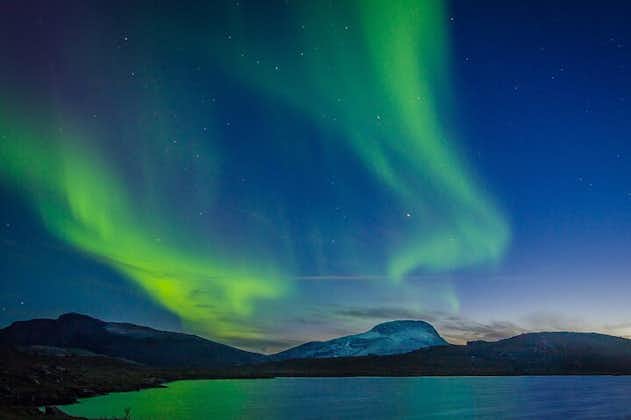 Croisière en yacht aurores boréales à Reykjavik