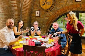 Seven Types of Chianti Wine Tasting and Food Paring Class Tour