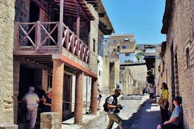 Herculaneum ruins and Naples Center Full Day Private Tour From Rome