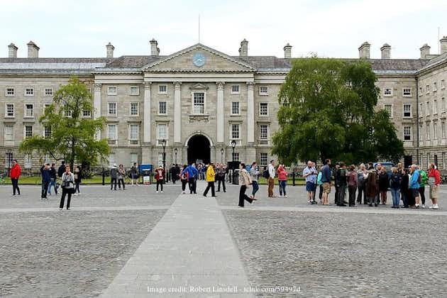 Bienvenue à Dublin: visite privée à pied d'introduction de 2,5 heures