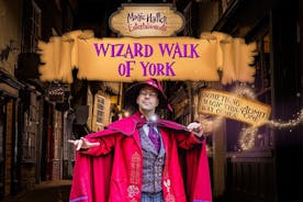 Wizard Walk of York - VINDER Bedste Tour 2023 (Little Vikings Awards)