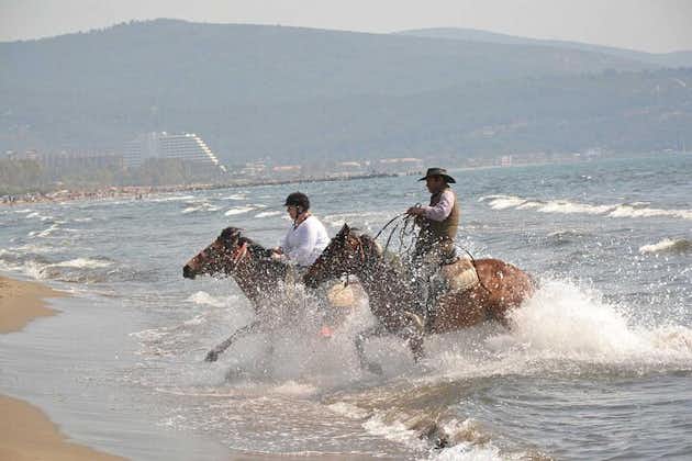Horseback Riding From Kusadasi Port / Hotels