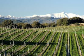 Ganztägige Somontano-Weinexkursion und Besuch von Alquezar