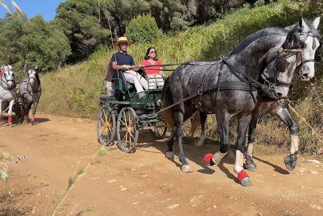  Horse Carriage Tour on the Mountain in Palmela