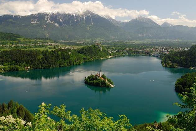 Lake Bled en Ljubljana Tour vanuit Piran of Portoroz of Izola