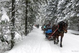 从克拉科夫出发，在 Chocholowska 山谷乘坐雪橇和篝火