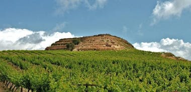 Kreta vin och olivolja turné