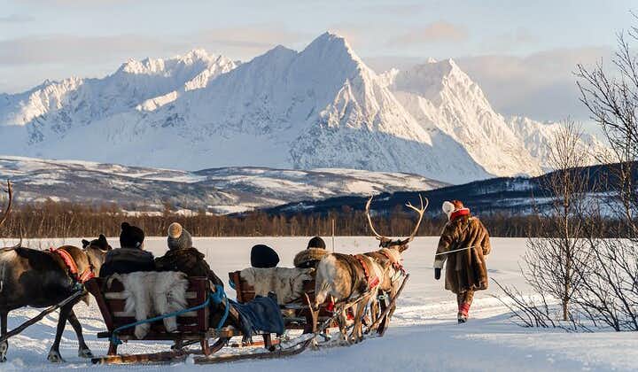 Reindeer Sledding and Feeding with Sami Culture in Tromso.
