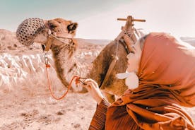 2 天卡帕多奇亚之旅，包括骆驼野生动物园和热气球之旅