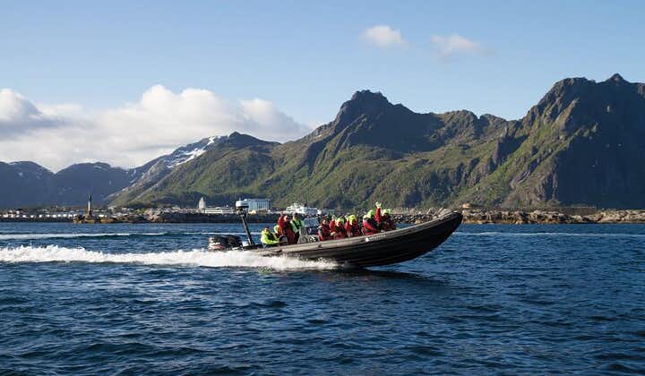 RIB Sea Eagle Safari Trollfjord Cruise