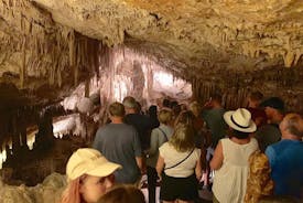 Excursión de día completo a las cuevas dels Hams y Drach con Puerto Cristo y tienda de perlas en Mallorca 