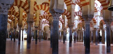 Tour storico della grande moschea-cattedrale di Cordova