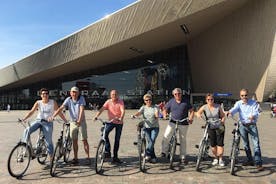 Private Highlight Bike Tour of Rotterdam