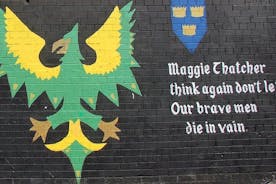 Recorrido político de 3 horas en taxi negro original, mural, historia de los muros de paz de Belfast