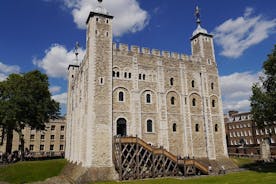 Private Tour London Highlights, entries Westminster Abbey, The Tower of London