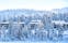 Photo of beautiful view of Finnish landscape with trees in snow, Ruka, Lapland, Finland.