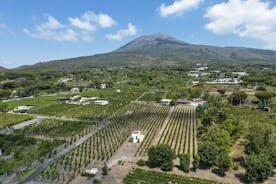 Biologische wijnproeverij en lunchervaring op de Vesuvius