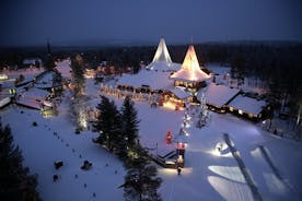 Arctic Delight - Bezoek aan het dorp van de kerstman en per sneeuwscooter naar een rendierboerderij