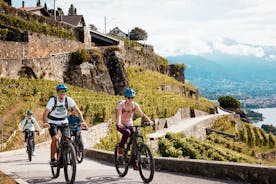 E-cykeltur i Lavaux Vineyards - Bikapa