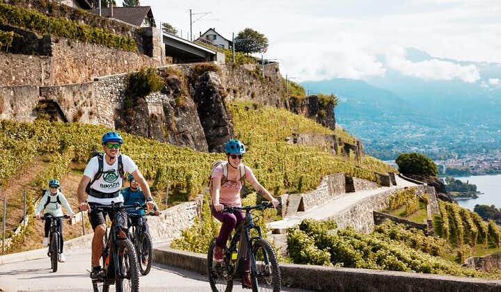 E-Bike Tour in Lavaux Vineyards - Bikapa