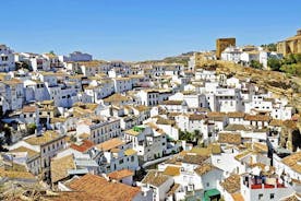 *Privat dagstur* fra Cádiz: Andalusiens hvide byer