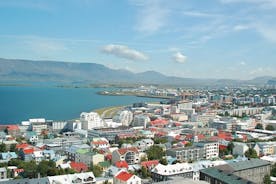 Tour en helicóptero desde Reykjavik: área de Hengill con aterrizaje en el sitio
