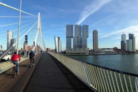 Rotterdam Travel to the Future Walking Tour