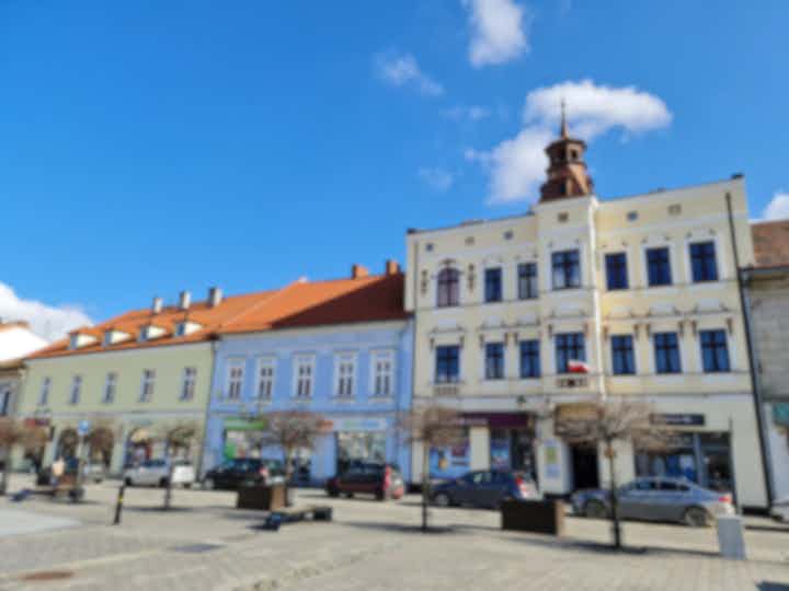 Historical tours in Oswiecim, Poland