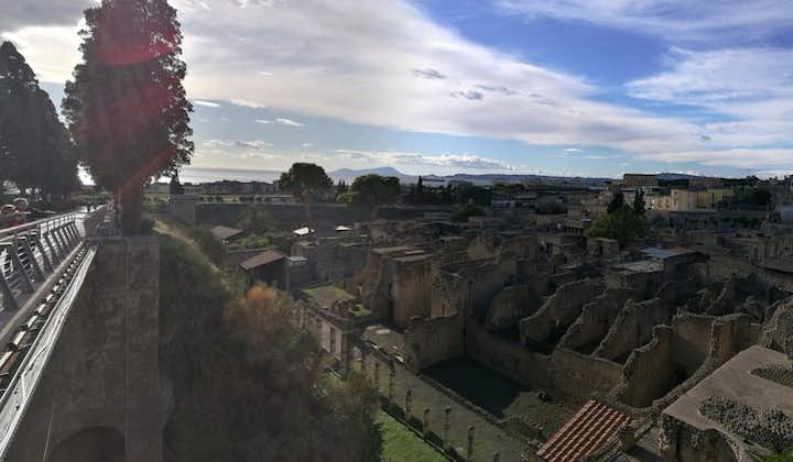 Private Day Tour: Herculaneum and Wine Tasting