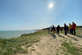 Bayeux에서 출발하는 노르망디 미국 및 영국 D-Day 해변 반나절 투어