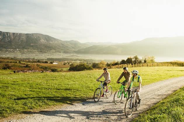 Bike and Wine in Vipava Valley