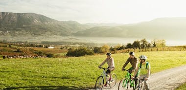 Fahrrad und Wein im Vipava-Tal