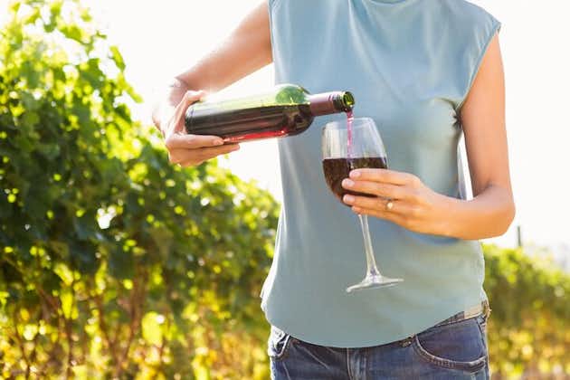 Vino Venture: Tutki paikallisen kanssa - Troodos-vuoret viinin kautta!
