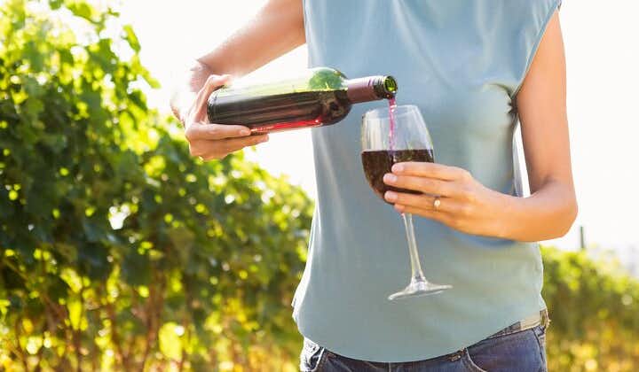 Vino Venture: Utforska med en lokal - Troodosbergen genom vin!