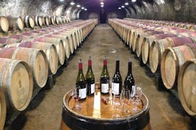 Beaujolais Crus Wines & Castles (2:00 pm - 6:30 pm) - Small Group Tour from Lyon
