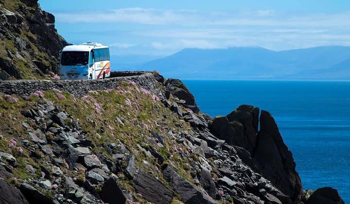 Killarney Super Saver: Dingle and Slea Head Day Trip plus Ring of Kerry and Killarney Lakes Day Trip